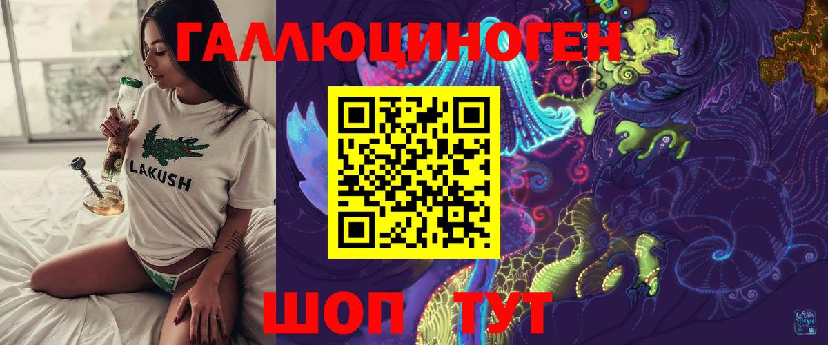 где купить наркоту  Галлюциногенные грибы Psilocybine cubensis  Вход с VPN  Камышин 