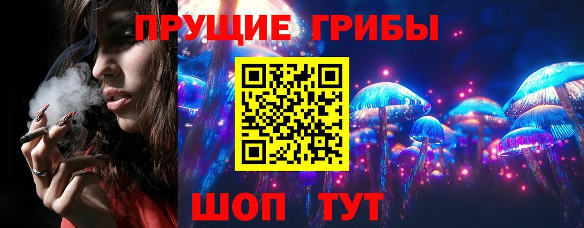 Псилоцибиновые грибы мицелий Камышин